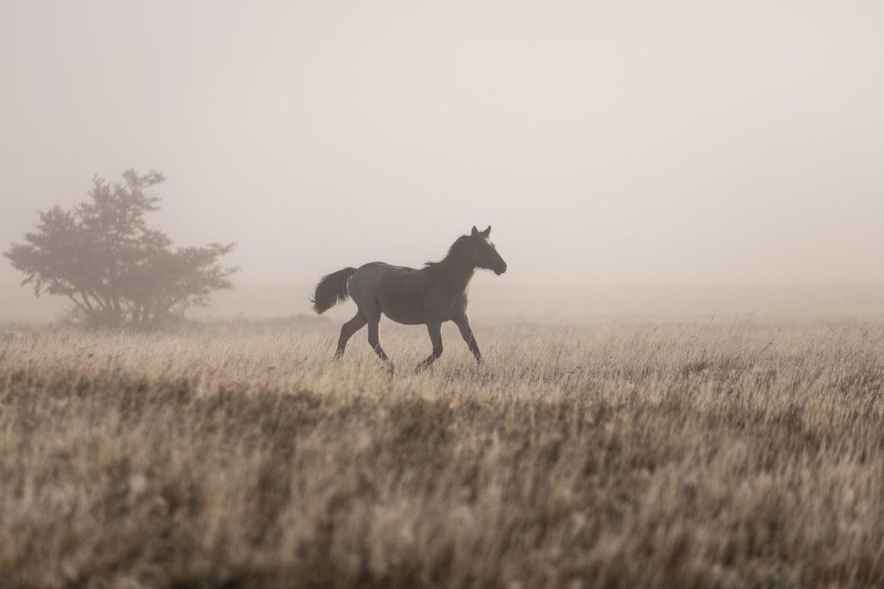 Pampa Lodge, Quincho & Caballos